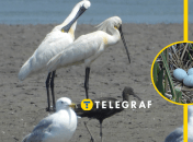 Фото: Галицкий национальный природный парк