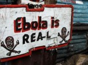 ВОЗ обвиняют в неэффективности при борьбе с вирусом Эбола