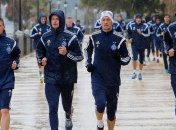 "Динамо" Реброва имеет хорошие перспективы