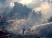 Пожары на острове Закинтос в Греции могли возникнуть из-за поджога