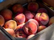 Налетай, но осторожно: польза и вред персиков