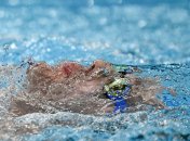 Роман Бондаренко