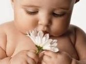 Пик интеллектуальной активности наступает в младенчестве