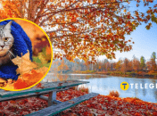 Погода восени