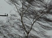 Прогноз погоды на 17 марта: незначительное ухудшение погодных условий