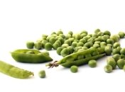 Горох полезен для почек