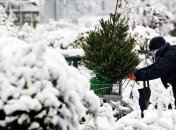 С 14 в Виннице начнут работать елочные базары