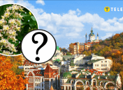 В Киеве цветет каштан