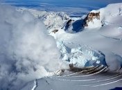 На Аляске ученые обнаружили тысячи птиц, умерших от голода