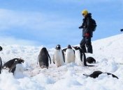 В НАНЦ рассказали, чем будут заниматься участники украинской экспедиции в Антарктику