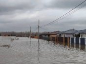 "Завербували бобрів за мільйон літрів кумису": у Росії звинуватили Казахстан у повені, у мережі сміються