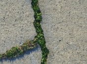 Разработан "живой бетон", способный восстанавливать повреждения