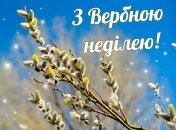 Поздравьте близких со светлым праздником Вербного воскресения
