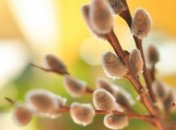 Погода в Украине 15 марта: на западе возможен мокрый снег