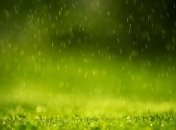 Прогноз погоды в Украине на 16 июля: дожди пройдут на западе