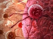 Иммунные клетки помогают мозгу восстанавливаться после инсульта