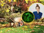 Осінь в саду