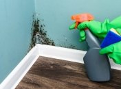 Как избавиться от плесени на стенах — три эффективных средства