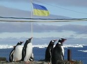 Украина и Австралия сверили часы перед антарктическим совещанием в Пекине