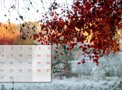 Календар свят на листопад 2022 року