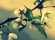 Укргидрометцентр рассказал, когда ждать потепление