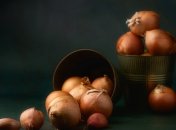 Лук – популярная культура на огороде