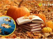 В этом году стоит шикарная осень