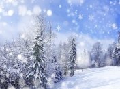 Погода в Украине 2 февраля: преимущественно без осадков, местами мокрый снег 