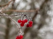 Очікуються дощі та мокрий сніг