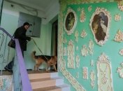 Владельцам собак в Киеве предлагают вдвое увеличить квартплату