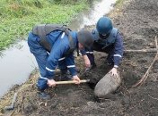 В этом году пиротехники  осуществили более 6 тысяч выездов 