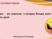 Только улыбка и позитив: уморительные анекдоты на день