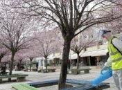 Covid-19: в Болгарии и Албании зафиксированы первые жертвы