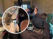 Котенок был наиболее спокойным во время задержания