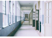 «Почему дети бегут из обычных школ»: 3 основные причины по мнению эксперта