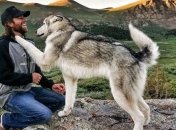 Парень повсюду путешествует со своей собакой (Фото) 