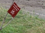 В Донецкой области двое гражданских подорвались на мине