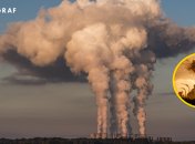 Выбросы в атмосферу