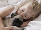 Секреты здорового сна