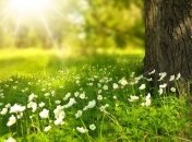 Синоптики прогнозують сьогодні до +16 тепла по всій території України