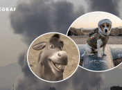 Взрыв, ишак из "Шрека" и пес