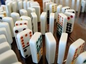 Одинокая муха уничтожила рекордную цепочку домино в Германии