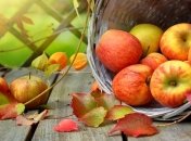 Прогноз погоды на 14 сентября: в Украине возможны кратковременные дожди