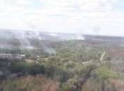 Остается 2 га: пожар в зоне ЧАЭС удалось локализовать