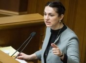 Гопко: Рада сможет взяться за выборы на Донбассе после двух месяцев перемирия