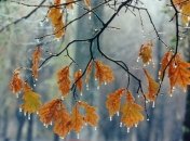 Прогноз погоды на 28 ноября: в некоторых регионах ожидается снег