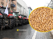 Колаж "Телеграфу"