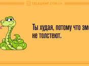 Улыбайтесь целый день: смешные анекдоты на 1 мая