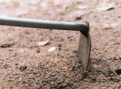 Посипте ґрунт незвичайним борошном