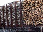 Одесская таможня задержала 109 контейнеров нелегального леса